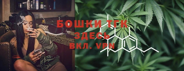 МДПВ Бородино