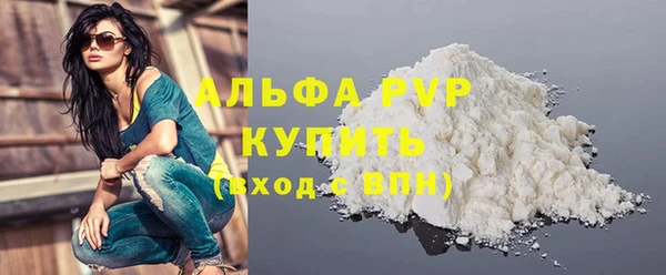 МДПВ Бородино