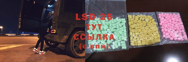 МДПВ Бородино