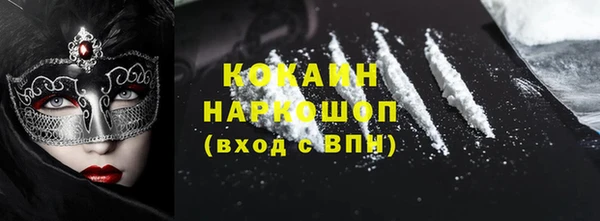 МДПВ Бородино