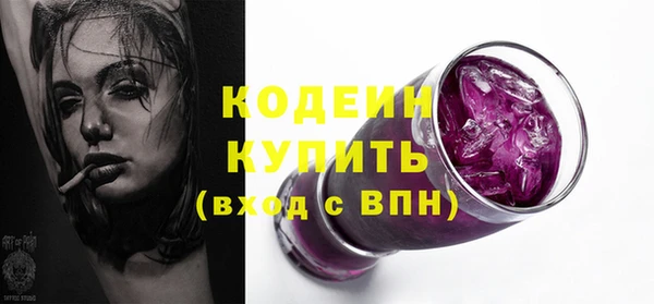 МДПВ Бородино