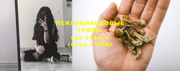 МДПВ Бородино