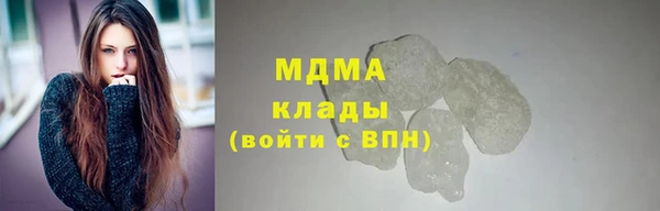 МДПВ Бородино