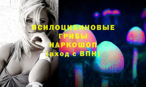 mdpv Бронницы