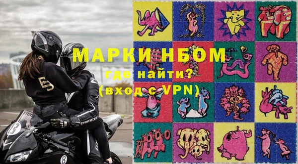 МДПВ Бородино