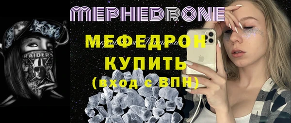 МДПВ Бородино