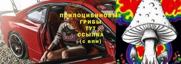 ешки Бугульма