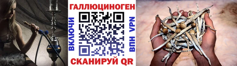 Галлюциногенные грибы ЛСД  Нолинск 